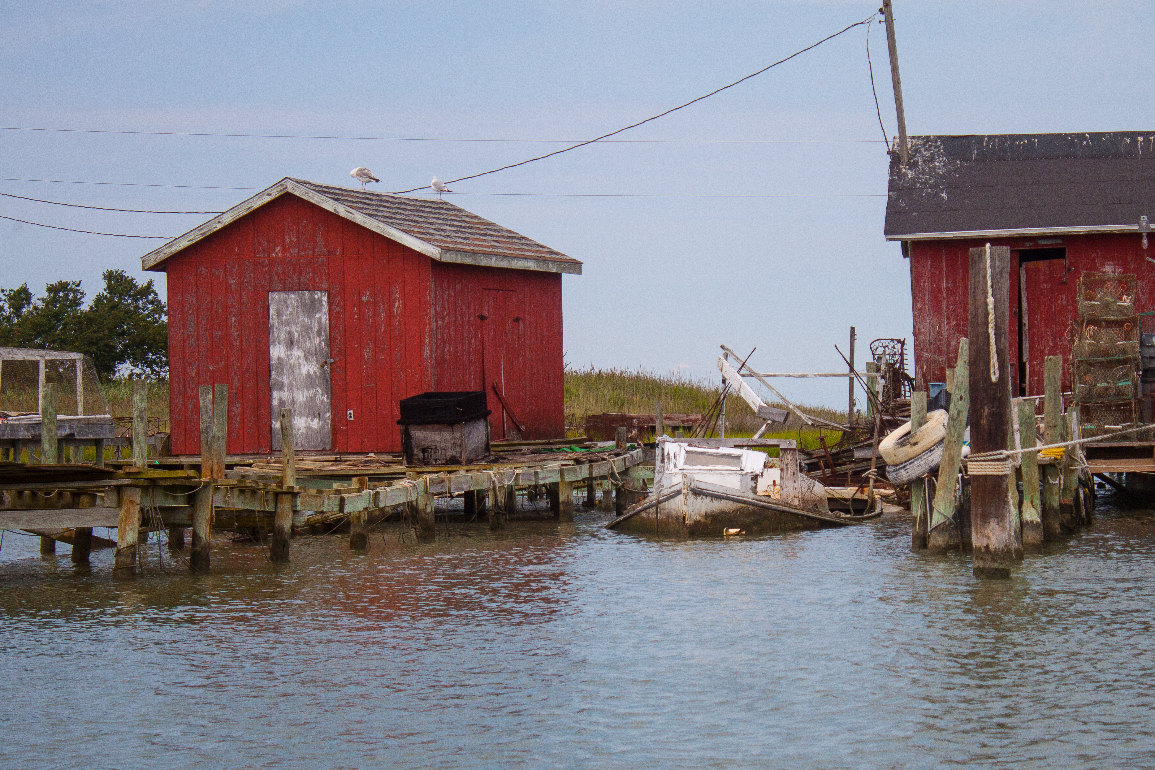 IMG_1106 » Tide & Thyme