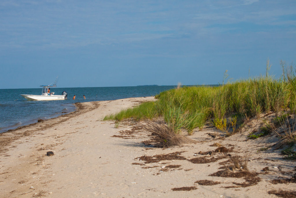 Uppards, Tangier Island VA » Tide & Thyme