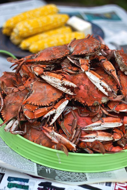Steamed Blue Crabs » Tide & Thyme